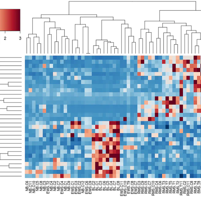 Clustering With R